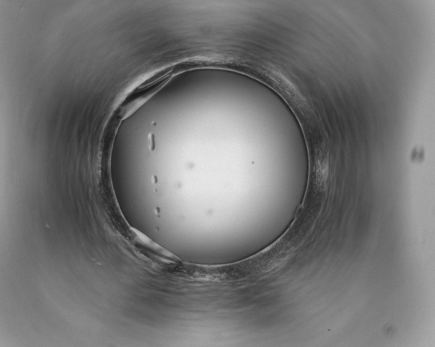 X0000089930484200707201843