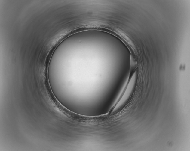 X0000089930485200707201843