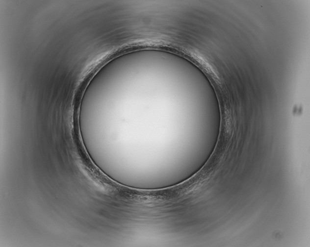 X0000089930486200707201843