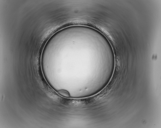 X0000089930487200707201843