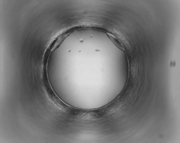 X0000089930488200707201843