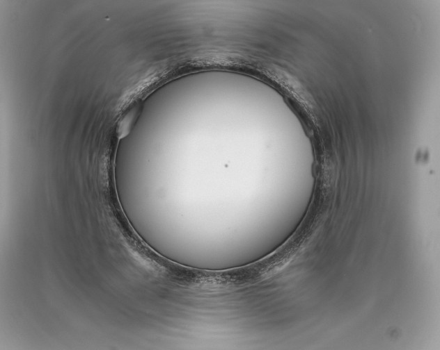 X0000089930489200707201843