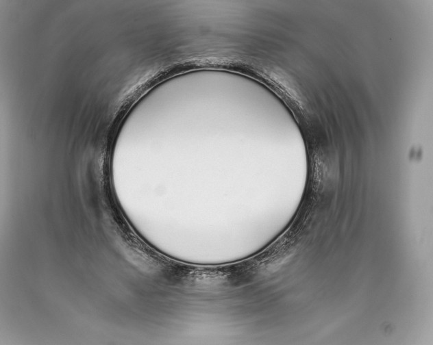 X0000089930491200707201843