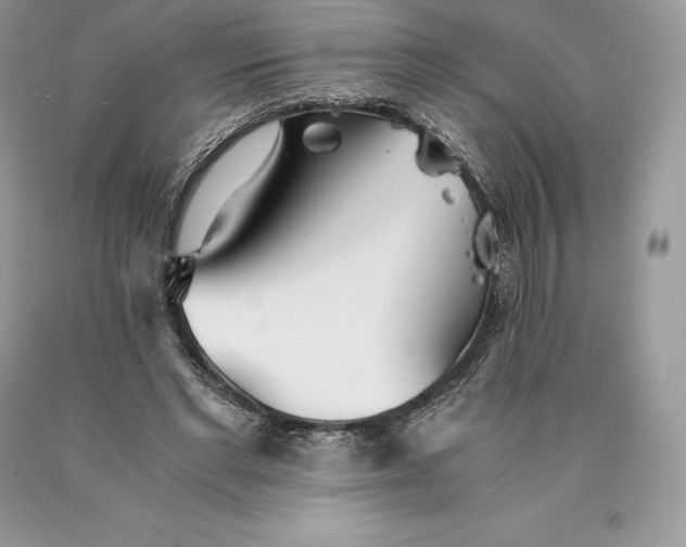 X0000089930493200707201843