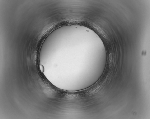 X0000089930494200707201843