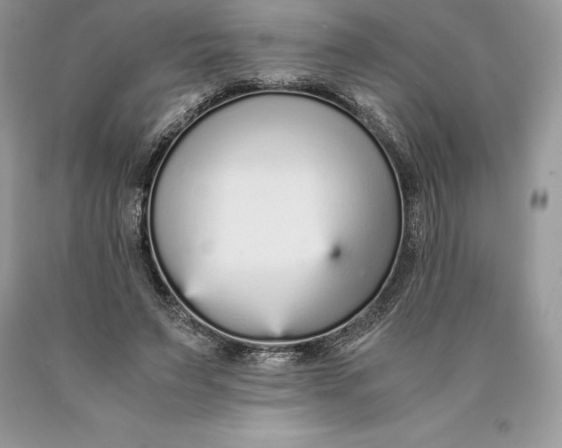 X0000089930495200707201843