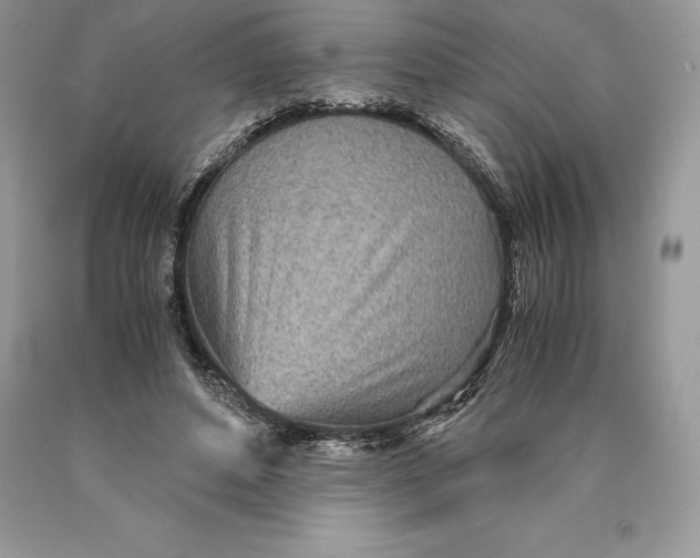 X0000089930496200707201843