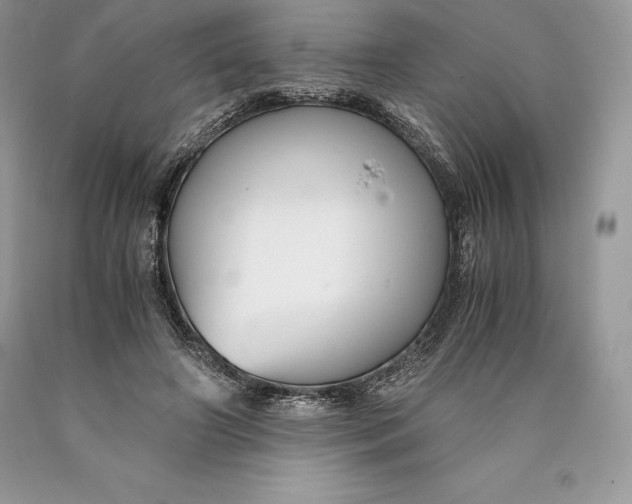 X0000089930498200707201843