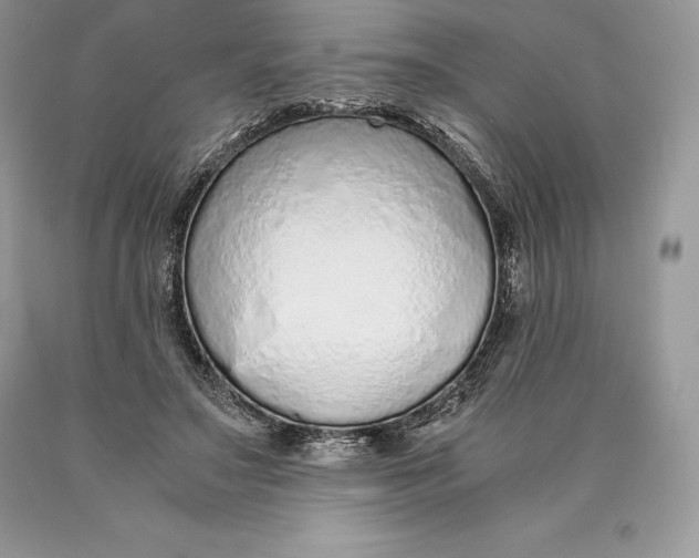 X0000089930499200707201843