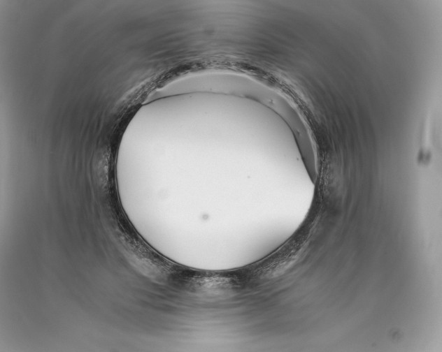 X0000089930501200707201843