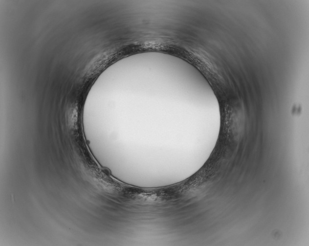 X0000089930502200707201843