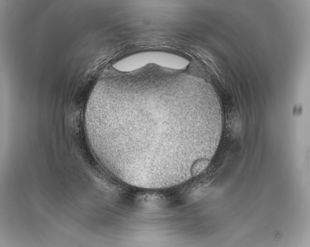 X0000089930503200707201843