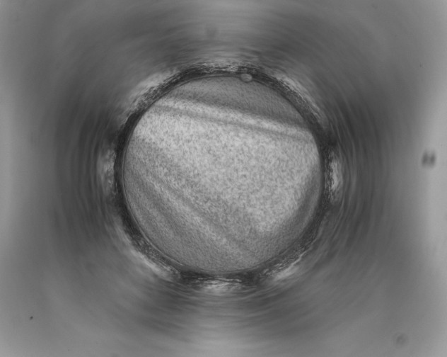 X0000089930504200707201843