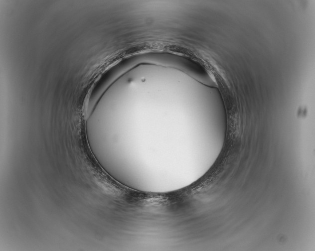 X0000089930505200707201843