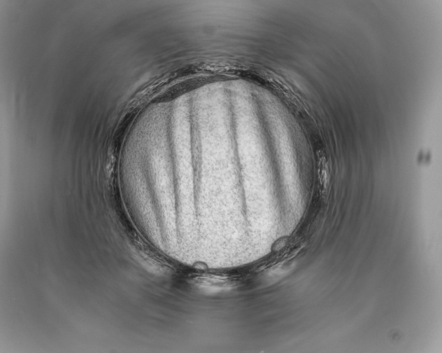 X0000089930507200707201843