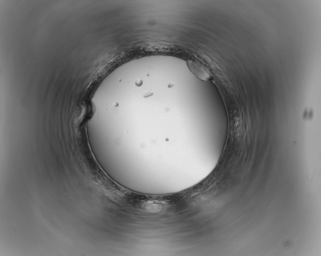 X0000089930508200707201843