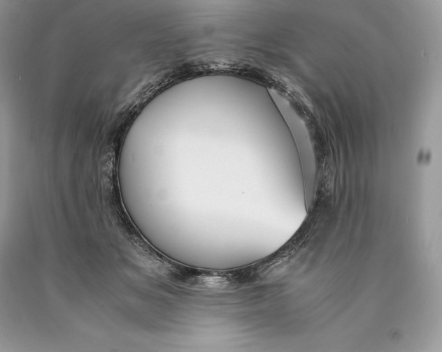 X0000089930509200707201843