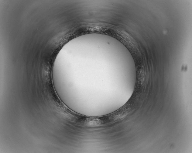 X0000089930510200707201843