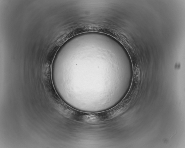 X0000089930511200707201843