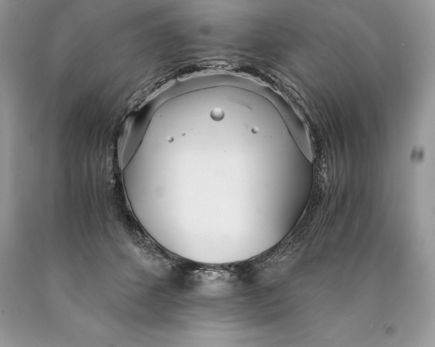 X0000089930512200707201843