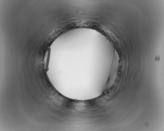 X0000089930513200707201843