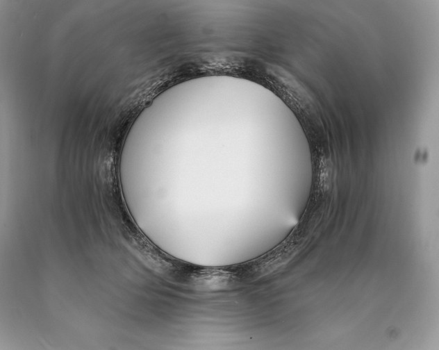 X0000089930514200707201843