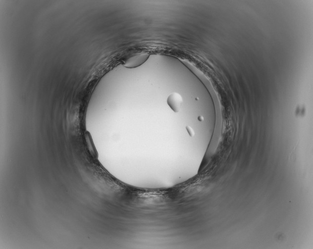 X0000089930516200707201843