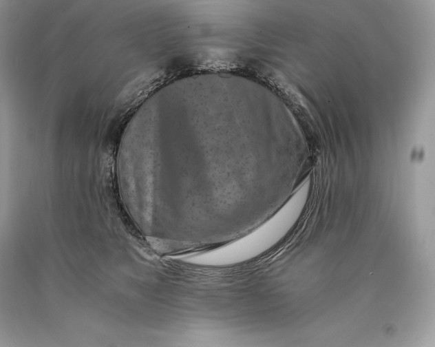 X0000089930517200707201843