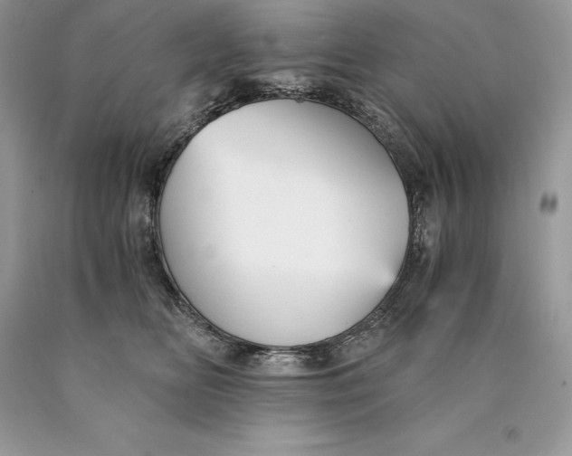 X0000089930518200707201843