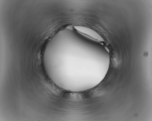 X0000089930520200707201843