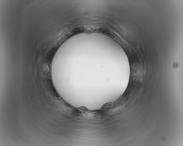 X0000089930523200707201843