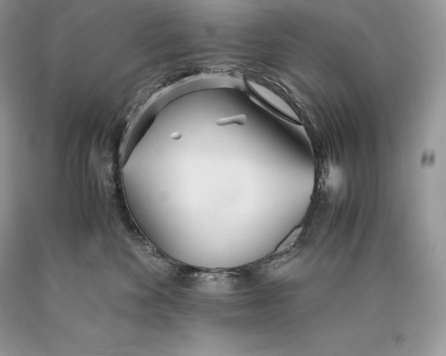 X0000089930524200707201843