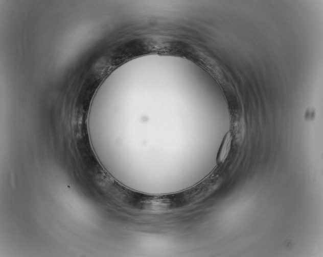 X0000089930525200707201843