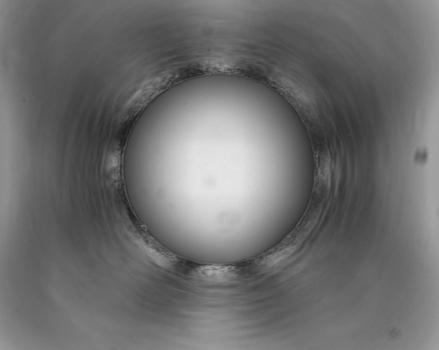 X0000089930526200707201843