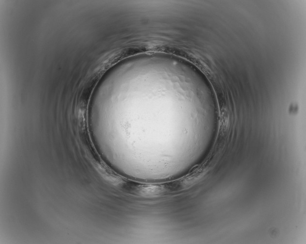 X0000089930527200707201843