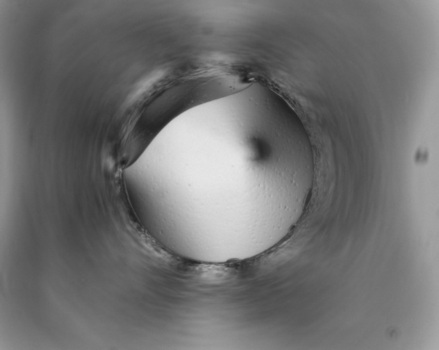 X0000089930528200707201843