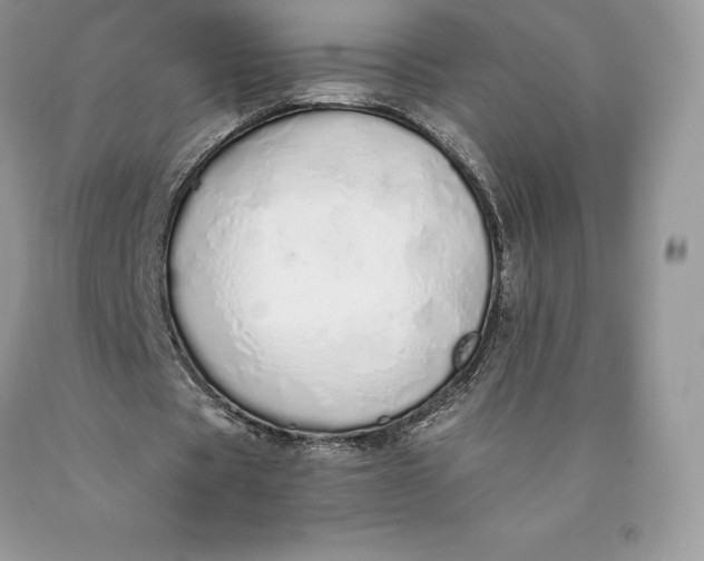 X0000089930529200707201842