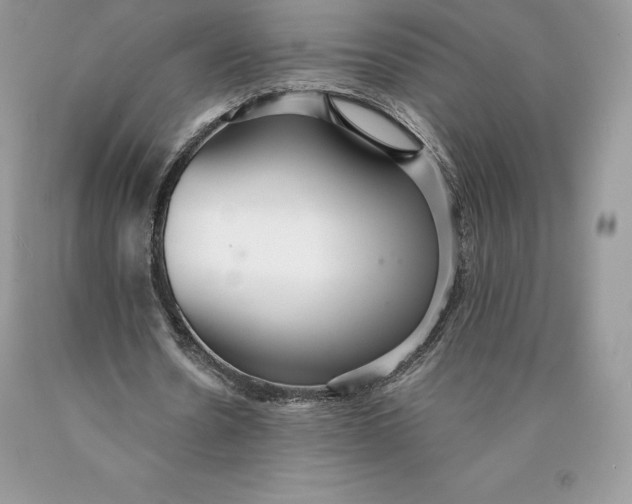 X0000089930530200707201842