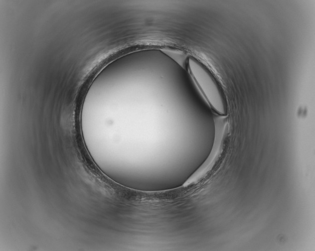 X0000089930531200707201842