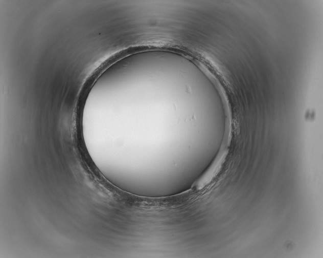 X0000089930532200707201842