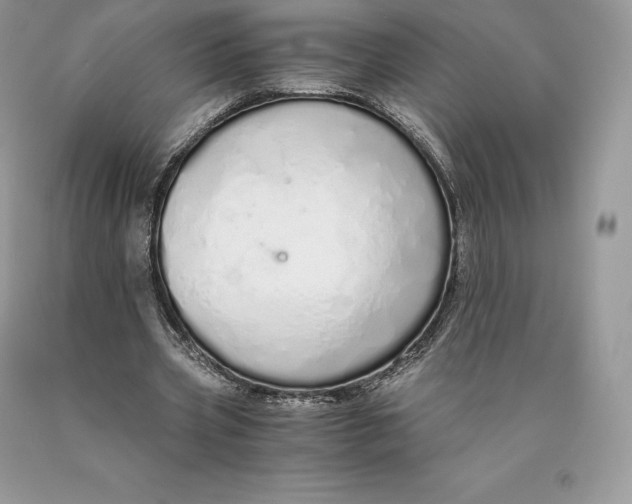 X0000089930533200707201842