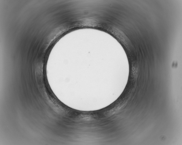 X0000089930534200707201842