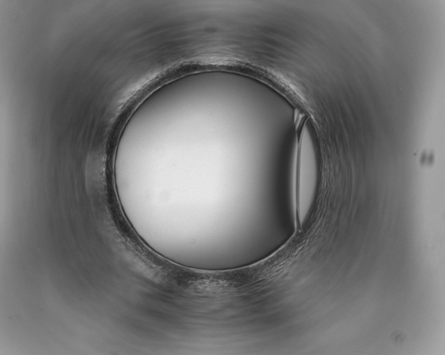 X0000089930535200707201842