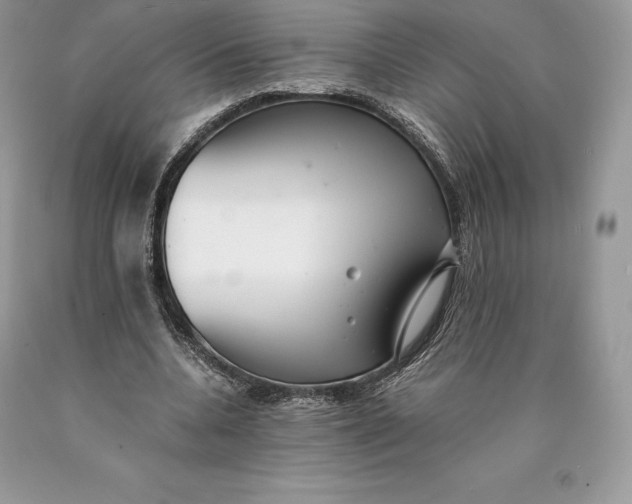 X0000089930536200707201842