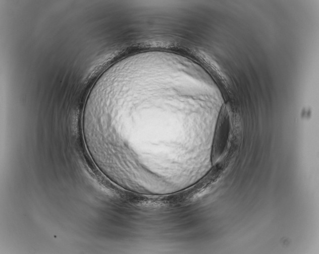 X0000089930537200707201842