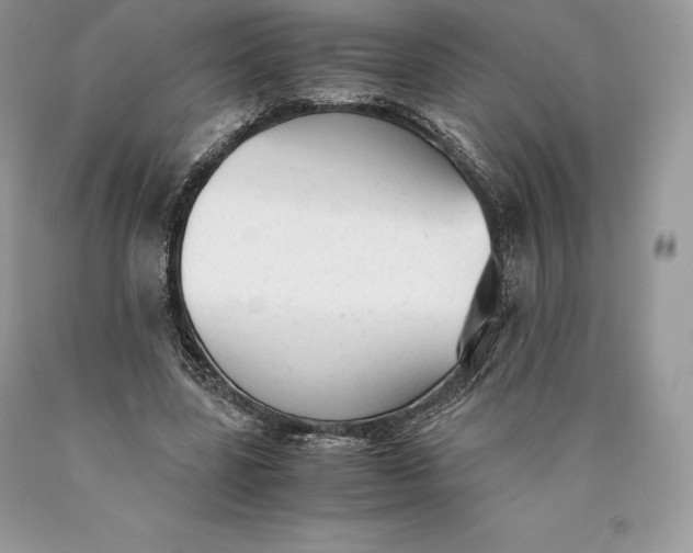 X0000089930539200707201842