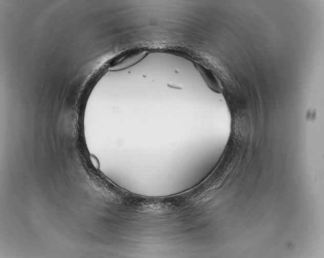 X0000089930540200707201842