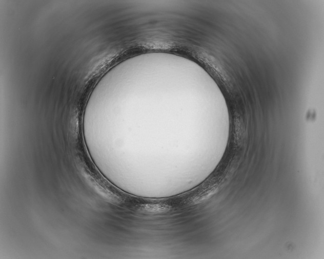 X0000089930541200707201842