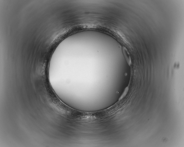 X0000089930543200707201842