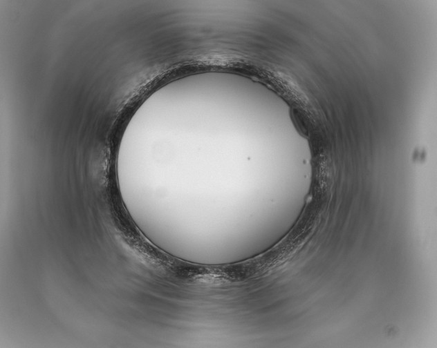 X0000089930544200707201842